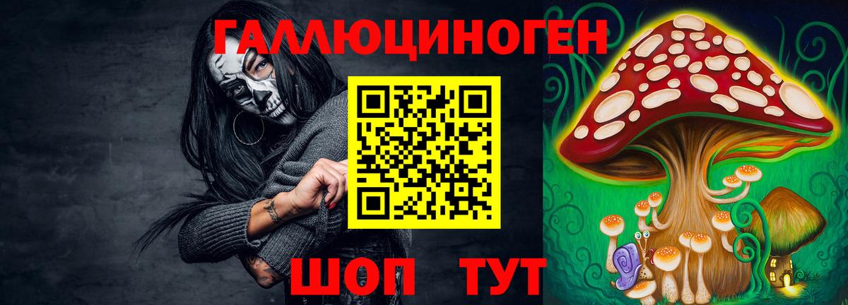 Псилоцибиновые грибы Cubensis Красный Сулин
